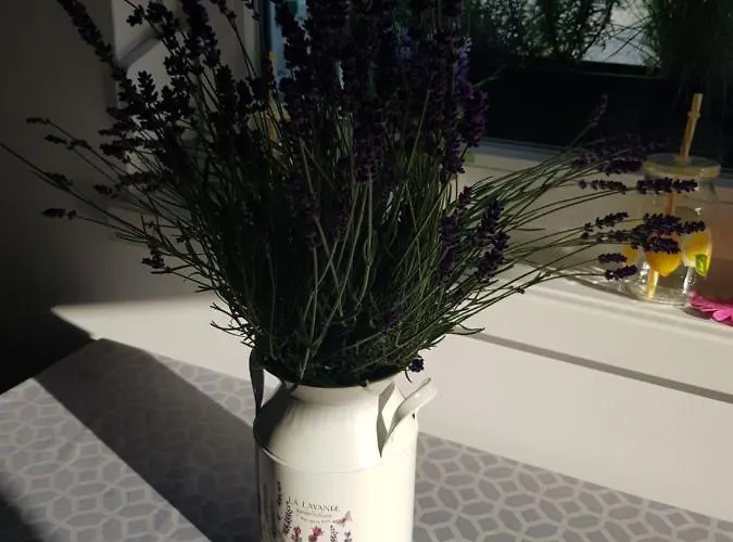 Prázdninový dům Margareta *